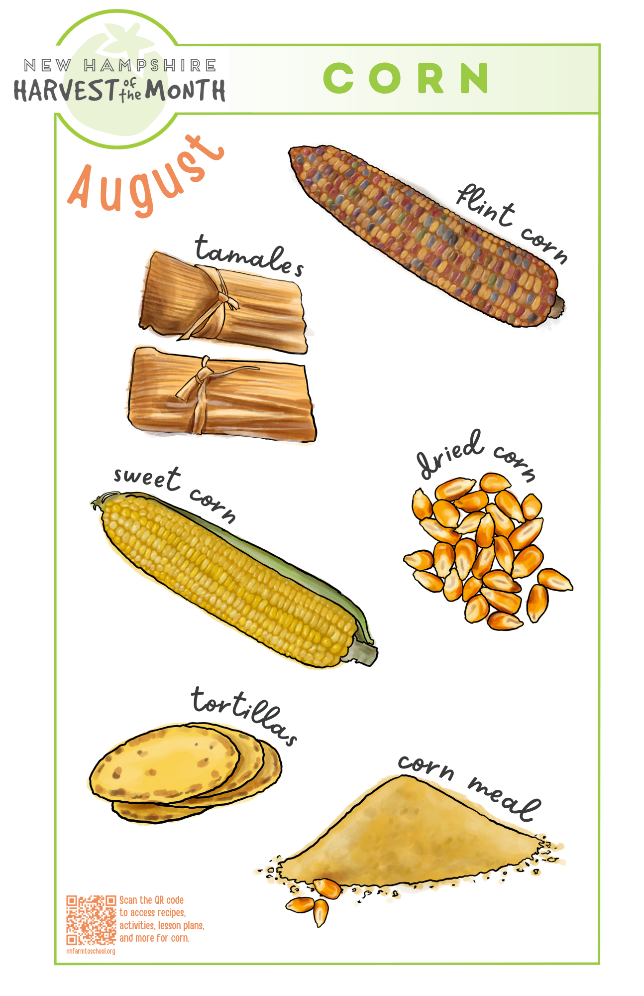 Corn – NH Farm to School